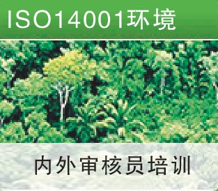 ISO14001��������