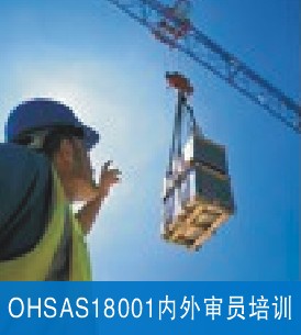 OHSAS18001ְҵ����
