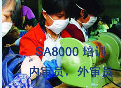 SA8000�������